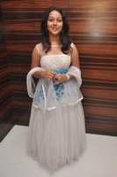 Yamuna Movie Audio Launch Gallery